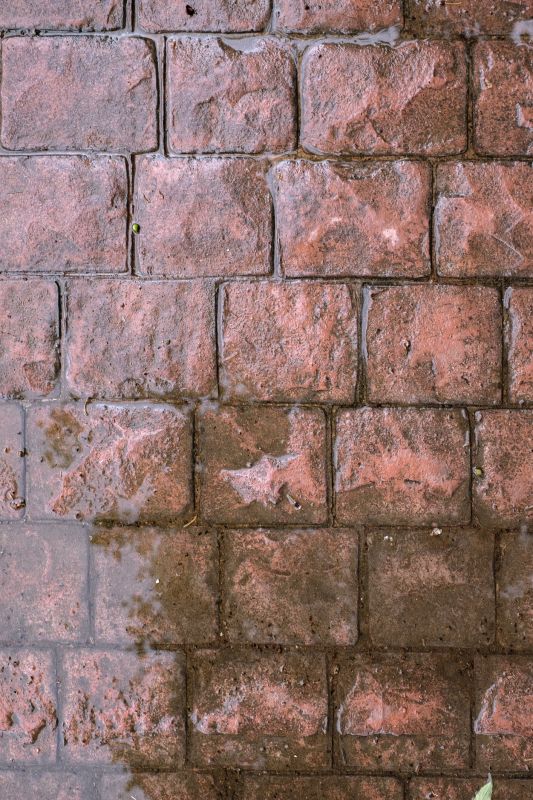 Decorative Concrete Repair in Roseville, CA